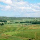 The Hemel-en-Aarde Valley The Hemel-en-Aarde Valley